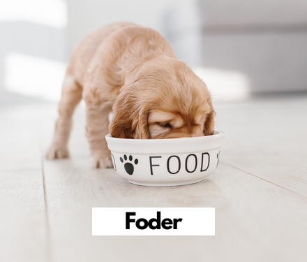 Hundefoder hod shopdogsrus.dk Hundefoder hod shopdogsrus.dk